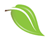 leaf icon